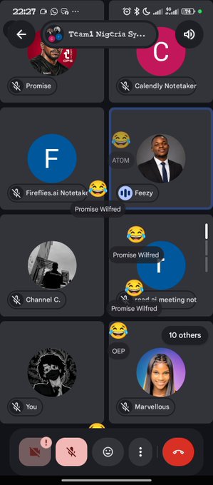 A screenshot of a Telegram group call titled 'Team Nigeria Sy...' showing multiple participants like 'Calendy Notetaker', 'Fireflies.ai Notetake...', 'Foezy', and 'Marvellous' with various avatars.