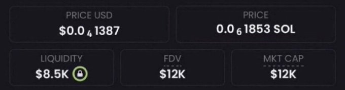 A dark-themed crypto token metrics dashboard displays a token priced at $0.00001387 USD or 0.00001853 SOL, with $8.5K liquidity and a fully diluted market cap (FDV) and market cap both at $12K. The low $12K market cap figure illustrates the early-stage, micro-cap opportunity the poster is promoting for a new memecoin.