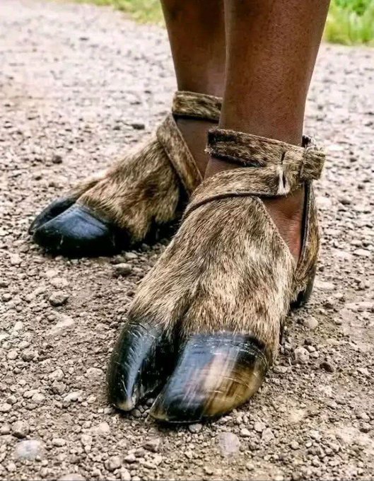 A close-up photo of unique animal-print (cow/hoof pattern) cloven hoof shoes worn on a person's feet standing on a gravel path.