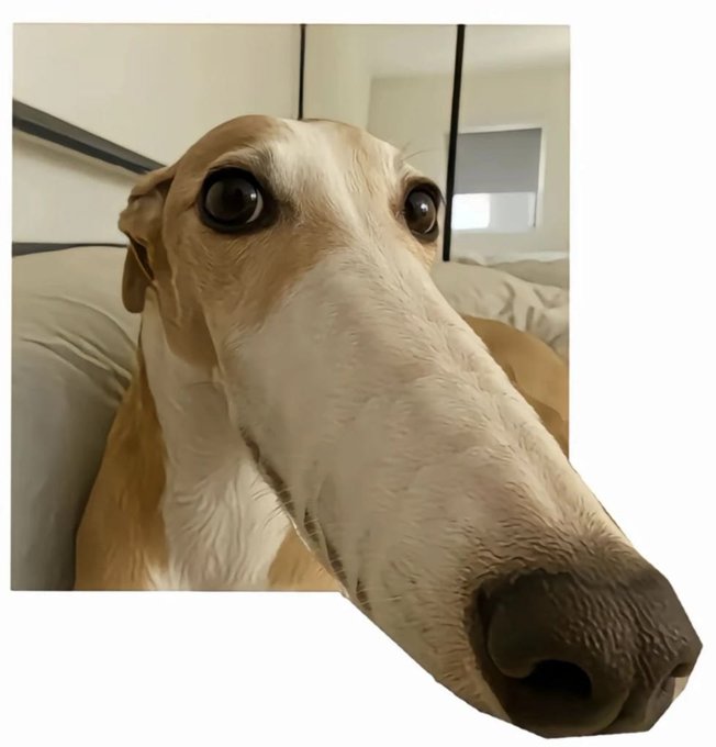 A humorous close-up photo of a dog with an elongated, distorted snout sitting on a couch, giving a wide-eyed expression.