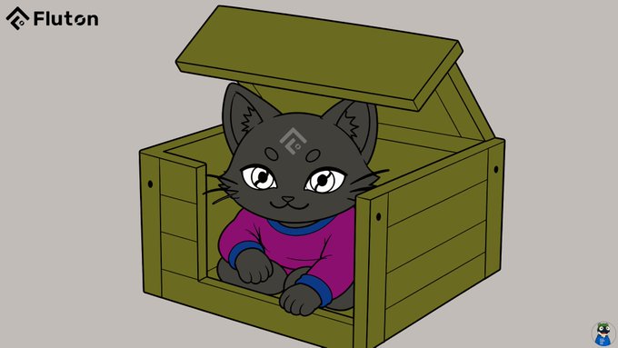 A cartoon illustration of a black cat character wearing a pink and blue sweater, sitting inside an open green wooden crate, with the 'Fluton' logo in the top left.