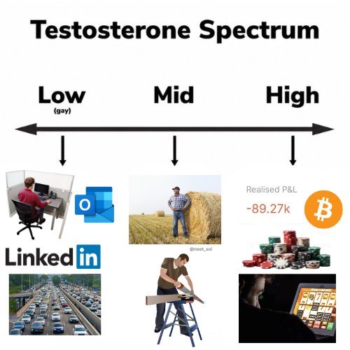 A "Testosterone Spectrum" meme categorizes life activities by hormone levels, ranging from Low (LinkedIn, traffic jams, Outlook email), to Mid (farming, construction work), to High (Bitcoin gambling with a -89.27K realized P&L and online slot machines). The post's "Real" caption humorously endorses the stereotype that high-testosterone men gravitate toward crypto trading and casino gambling despite devastating financial losses.