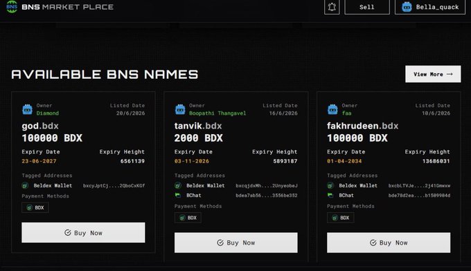 A screenshot of the BNS MARKET PLACE interface showing three available BNS names for sale: 'god.bdx', 'tanvik.bdx', and 'fakhrudeen.bdx', each priced at either 100000 or 2000 BDX with 'Buy Now' buttons.