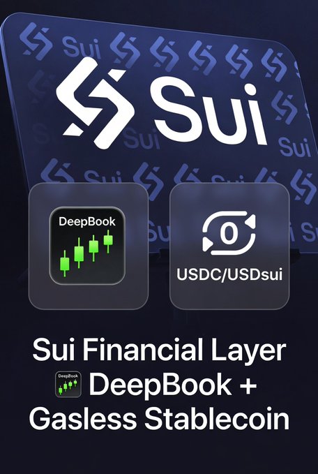 The image features a poster for Sui Financial Layer, which includes two icons representing different financial services. The first icon shows a deepbook with green bars, while the second icon displays a USDC/USDSui symbol. These icons are used to represent the financial services offered by Sui Financial Layer and DeepBook respectively.