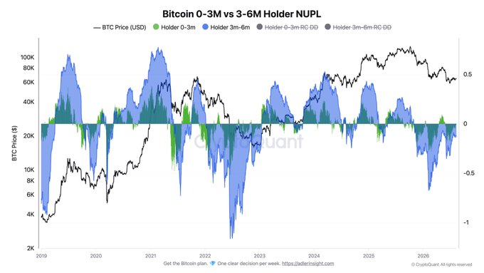 A financial chart titled 'Bitcoin 0-3M vs 3-6M Holder NUPL' showing BTC Price (USD) trends from 2019 to 2026, with various holder metrics overlaid by CryptoQuant.
