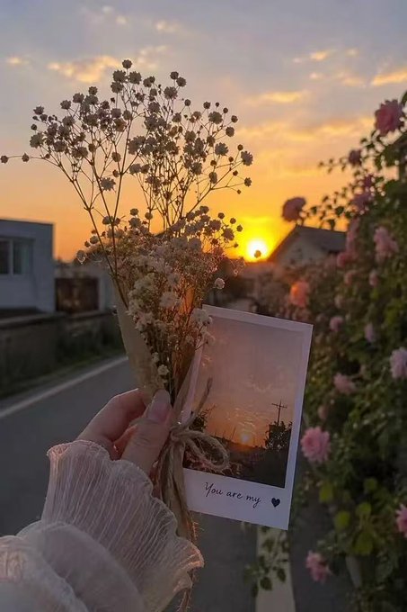 A hand holds a bouquet of dried baby's breath flowers alongside a polaroid photo captioned "You are my ♥" against a golden sunset, symbolizing quiet self-love and inner strength. The peaceful, romantic scene mirrors the post's message about finding freedom and resilience by embracing what you love and standing firm through life's winds.