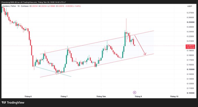 A TradingView candlestick chart for Cardano/Tether (ADAUSDT) showing price action between 0.15000 and 0.27000 USDT, with a downward red arrow indicating a projected price decline.