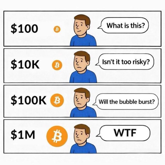 A four-panel comic showing a man's escalating reaction to Bitcoin prices, questioning 'What is this?' at $100, 'Isn't it too risky?' at $10K, 'Will the bubble burst?' at $100K, and 'WTF' at $1M.