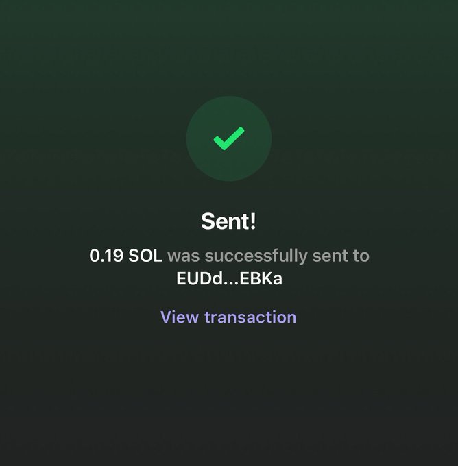 A dark green screen displays a green checkmark with the text 'Sent! 0.19 SOL was successfully sent to EUDd...EBKa' and a 'View transaction' link.