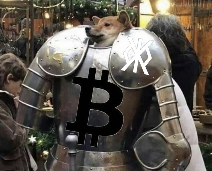 A Shiba Inu dog wearing medieval silver armor with a Bitcoin symbol on the chest, alongside what appears to be a Scaramouche symbol on the shoulder plate.