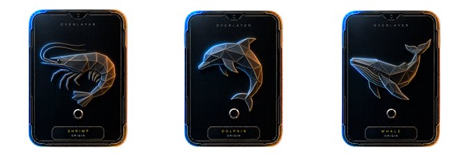 Three stylized "OVERLAYER" NFT cards for the "ORIGIN" collection, featuring geometric wireframe designs of a Shrimp, Dolphin, and Whale, prompting viewers to choose their favorite sea creature among the three options.