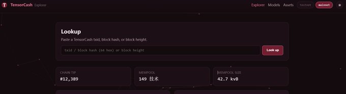 The TensorCash Explorer dashboard in dark mode showing a block lookup interface with chain tip at #12,389, mempool at 149, and mempool size of 42.7 kvB.