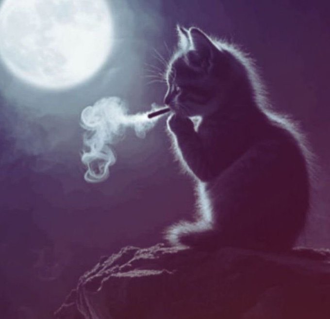An artistic illustration of a cat sitting on a rock against a night sky, holding a cigarette in its mouth with smoke curling upward and a large full moon in the background.