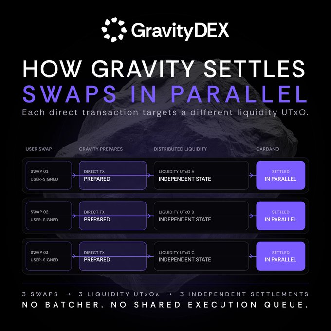 An infographic by GravityDEX titled "HOW GRAVITY SETTLES SWAPS IN PARALLEL" detailing a transaction flow from USER SWAP through GRAVITY PREPARES, DISTRIBUTED LIQUIDITY, and CARDANO for three independent swaps.