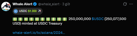 A screenshot of a tweet from 'Whale Alert' @whale_alert showing that 250,000,000 $USDC ($250,077,500 USD) was minted at USDC Treasury.