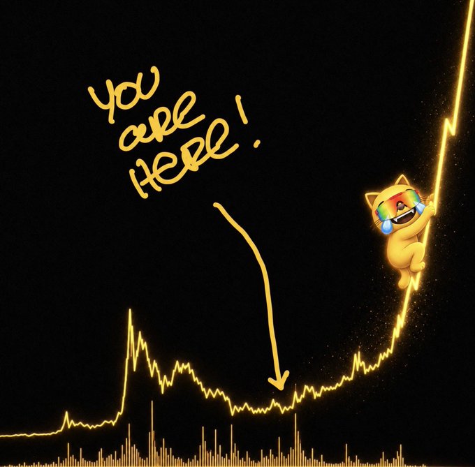An illustrated cat figure with the same meme face hangs from a sharply rising line on a chart, with handwritten yellow text reading "You are Here!" pointing to a low point.