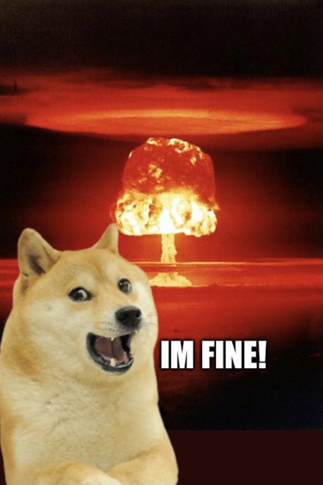 The image features a light brown dog with its mouth open, looking at the camera as if posing for a photo. In front of the dog's head, there is an explosion depicted by a red circle surrounded by flames. The caption below the image reads "IM FINE! Dogecoin". This suggests that the image has been created to promote or celebrate the popular cryptocurrency, Dogecoin.