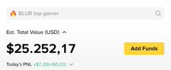 This image shows a portfolio value of $25,252.17, with "BLUR top gainer" highlighted, suggesting a potential gain despite the user's description of past crypto market highs.