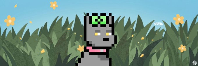 A pixel art illustration of a gray cat-like character with a pink collar sitting in a grassy field with yellow flowers, featuring the text 'dogs' and a Chinese character.