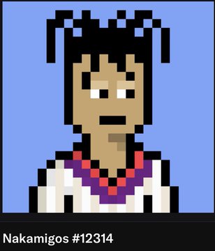 A pixel art portrait of a person with dark hair, captioned "Nakamigos #12314" at the bottom.