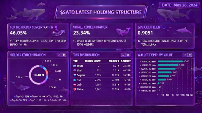 The image shows a purple screen displaying information about $SATO Holdings, including their latest holding structure, whale concentration, Gini index, and the number of addresses. The text indicates that the top 100 positions have increased slightly, while the concentration of whales has increased significantly, and the Gini index remains largely unchanged.