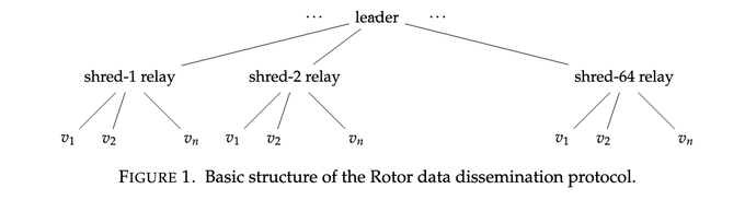 The image is a tree diagram showing the basic structure of the Rotor data dissemination protocol, with a "leader" at the root connected to "shred-1 relay," "shred-2 relay," and "shred-64 relay" nodes, each branching down to a set of validators labeled v₁, v₂, ..., vₙ. This illustrates the leader distributing 64 erasure-coded shreds (the result of Turbine's 32 original pieces + 32 coding pieces) to relays, which then propagate the data to their assigned validators in the network.