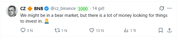 The image shows a tweet from CZ (Binance) posted 14 days ago, featuring his profile picture, the BNB ticker, and the message: "We might be in a bear market, but there is a lot of money looking for things to invest in 👤" — directly illustrating the post's point that, despite bearish conditions, significant capital remains actively seeking investment opportunities.