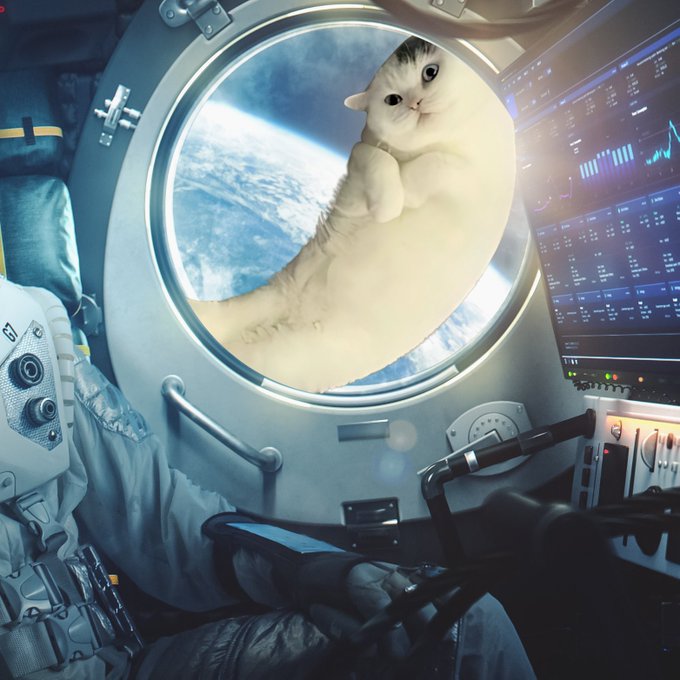 urn of a cat with its head out the window, gazing at Earth through a circular window.