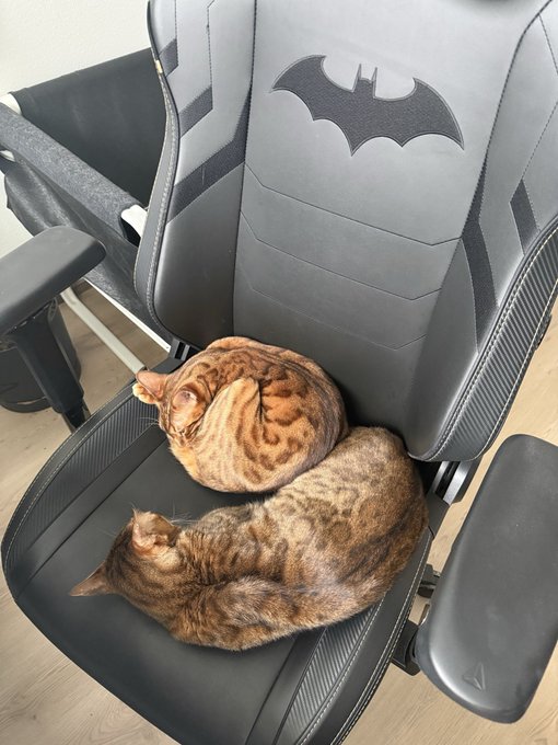 Two cozy tabby cats curled up together, sleeping soundly on a Batman-themed gaming chair. The "LEGENDARY" caption contrasts with the relaxed, sleepy cats—perhaps a reminder to stay calm even when the market opens.
