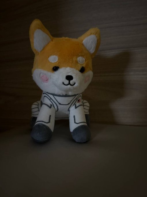 The image features a stuffed animal dog wearing a white shirt with a red star and a black helmet, giving it an astronaut-like appearance. The dog appears to be sitting or standing against a wooden background, which adds to its overall charm. The photo is captioned "I don' use this ethereum:0xf280b16ef293d8e534e370794ef26bf312694126," suggesting that the image might have been taken by someone who has an interest in space exploration or astronomy and wants to share their passion for the subject.