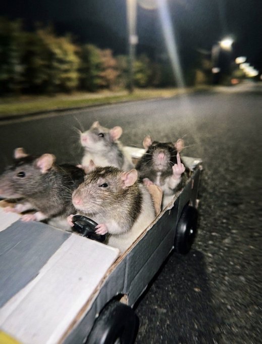 A group of rats riding in a small wooden wagon down a road at night, humorously illustrating the "$RATIC gang RWAing" post by depicting rats as a mischievous crew on the move.