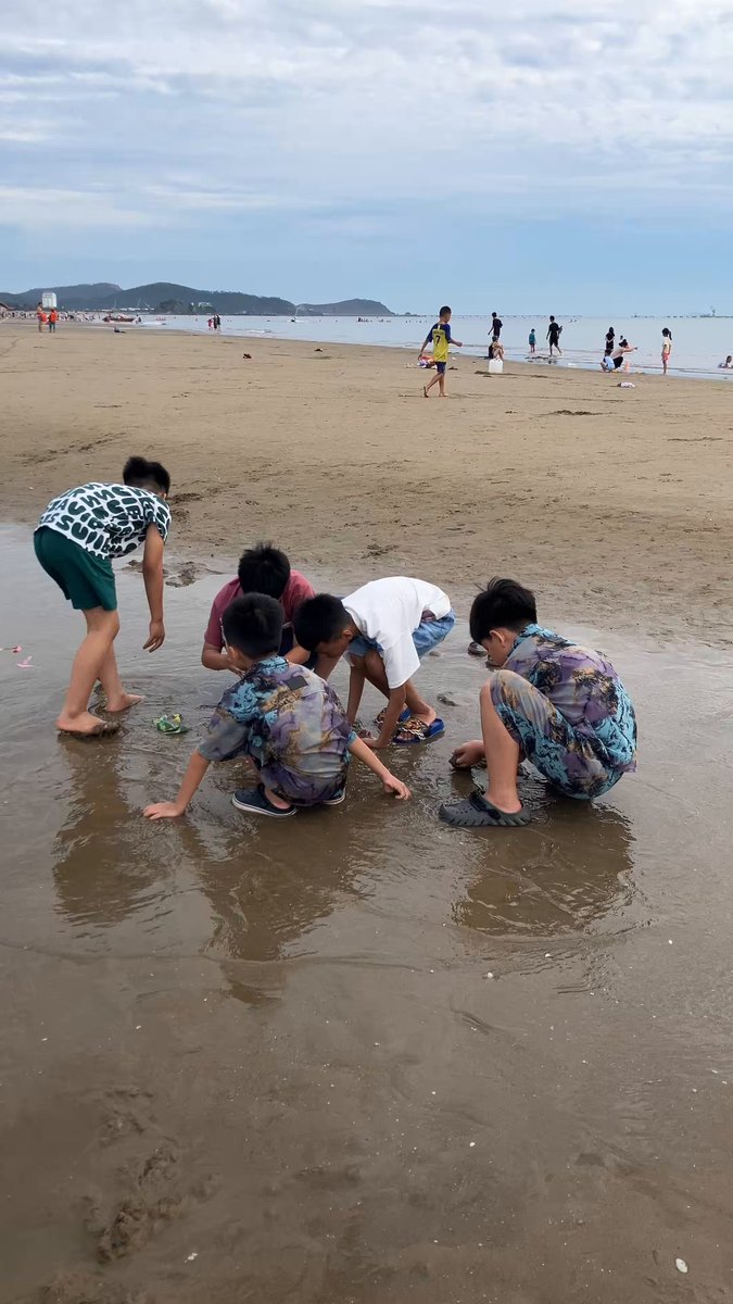 The image shows a group of children playing at the beach, with some sitting in the water while others are standing or walking along the shoreline. The photo captures their enjoyment as they interact with each other and explore the sandy beach. The scene is set against an ocean backdrop, creating a picturesque and lively atmosphere for these young adventurers to have fun together.