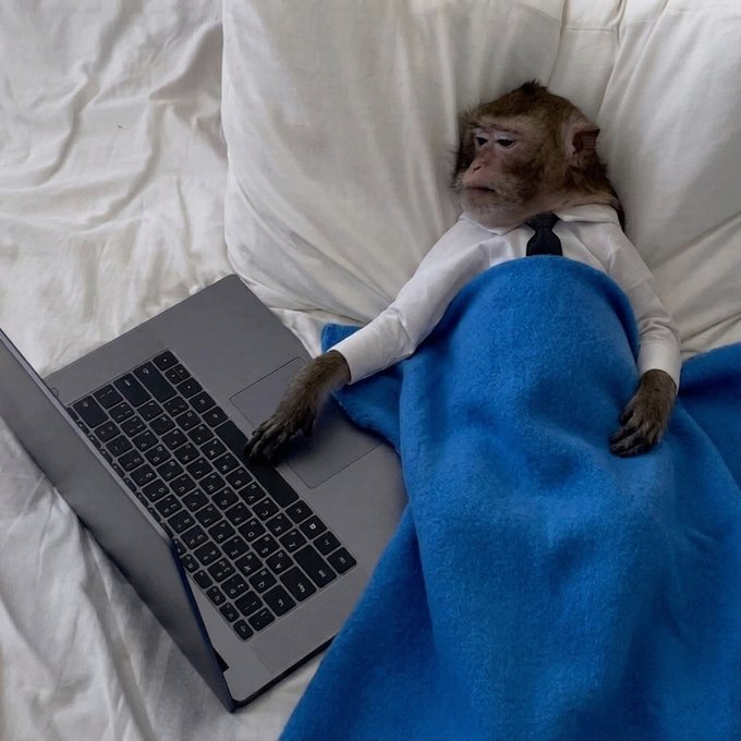 A monkey in a tie and shirt lies in bed under a blue blanket, resting one hand on a laptop keyboard, embodying the exhausted "buy the dips" mentality described in the caption about being too drained from market-watching to do anything else.