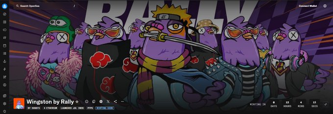 Rally.io NFT collection page titled 'Wingston' by rally, featuring purple cartoon bird-like characters styled after Naruto anime characters in Akatsuki robes with 'RA' and 'W' graffiti text in the background.