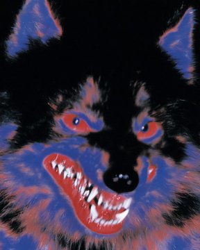 A vivid, stylized digital painting of a snarling black wolf or fox with glowing red eyes and sharp white teeth set against a colorful blue and pink background.