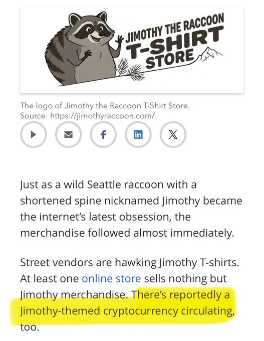 An article about merchandise for 'Jimothy the Raccoon' featuring the logo for 'Jimothy the Raccoon T-Shirt Store', with a highlighted mention of a 'Jimothy-themed cryptocurrency'.