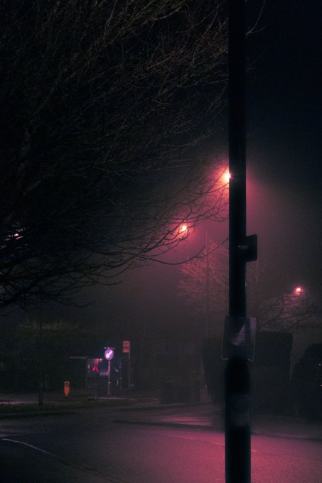 A foggy night street illuminated by glowing red streetlights, with bare tree branches silhouetted against the misty sky and a wet road reflecting the eerie pink glow—evoking a haunting, cinematic mood that mirrors the urgency and emotional pull of "I'm gunna run to you."