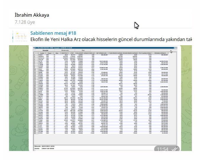 A Telegram post from "İbrahim Akkaya" (dated 7.128 Üye) shares "Sabitlenen mesaj #18," featuring a screenshot of an Ekofin-style financial table tracking the current status of files seeking New Arrest (Yeni Halka Arz), with listings for various tickers and their EKOFIN, FETÖ, and other category values, resembling a stock market tracking spreadsheet.