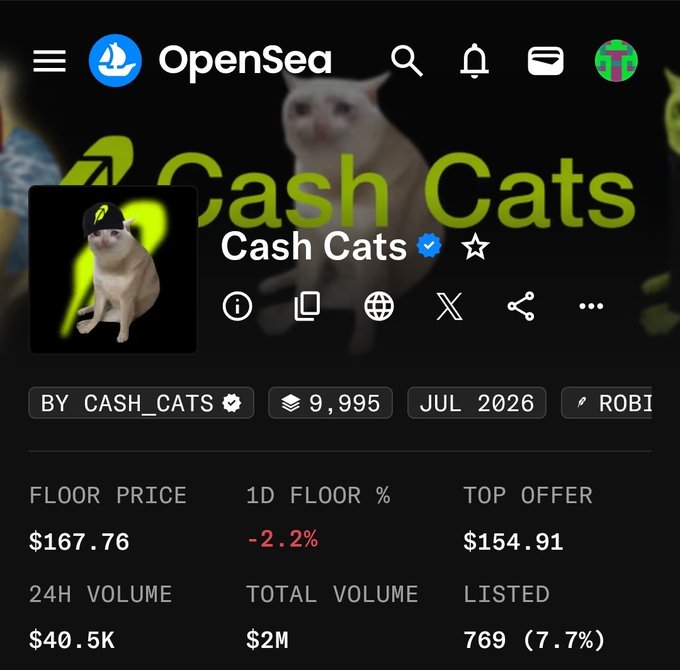 The image shows the OpenSea NFT collection page for "Cash Cats," displaying a floor price of $167.76, a 1D floor change of -2.2%, and a 24H volume of $40.5K with 9,995 total items. This visually supports the post's commentary on the collection's dramatic price decline, illustrating the steep drop from $850 to $167 that the author is questioning.