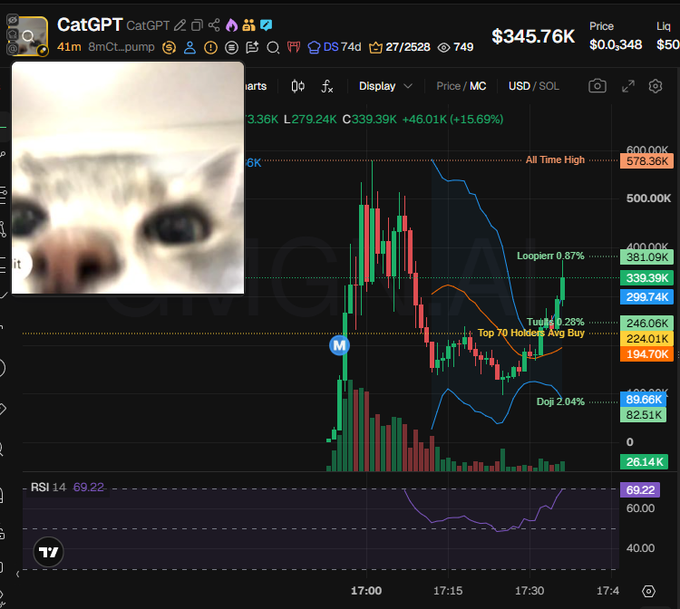 A meme coin chart for $CatGPT (CA: 8mCt5QnoD4izGiBncq4C2kkzPDqJNwHY9twnxiAapump) is displayed, showing a recent price spike to around $345.76K before pulling back to the $300K range, with key holders like Tuults, Loopierr, Trey, and Top 70 Holders Avg Buy marked on the chart. The image visualizes the post's claim about the token's holder distribution, highlighting insider/team allocations and notable wallet positions such as "Doji," "Tuults," and "Loopierr."