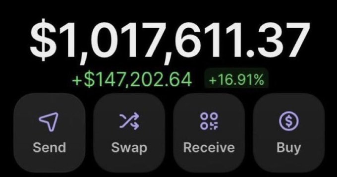 A screenshot of a crypto wallet dashboard showing a balance of $1,017,611.37 with gains of +$147,202.64 (+16.91%), featuring Send, Swap, Receive, and Buy buttons, used to promote profits made from memecoins $ANSEM and $CASHCAT.