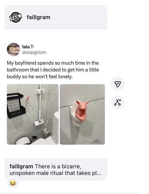 A failgram post from user @stargirlzm showing a small pig figurine mounted on a bathroom wall as a companion for her boyfriend, joking about a 'bizarre, unspoken male ritual'.