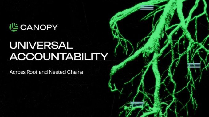 A promotional graphic for 'CANOPY' featuring a bright green root system on a black background, highlighting 'UNIVERSAL ACCOUNTABILITY Across Root and Nested Chains'.