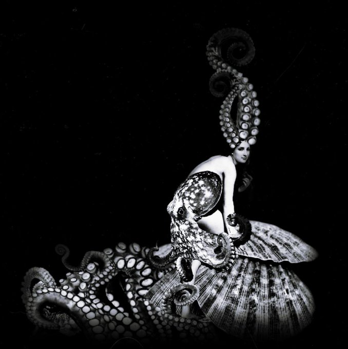 A black and white surreal digital artwork featuring a woman with an elaborate octopus-tentacle headdress, perched on a giant shell with more tentacles wrapping around her.