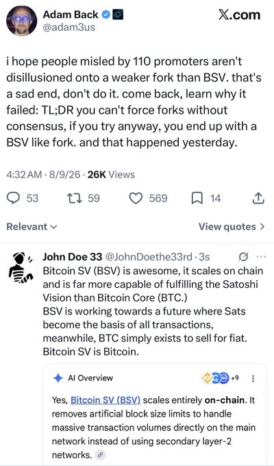 Adam Back (@adam3us) tweets criticism of Bitcoin SV forks, quoting John Doe 33 who praises BSV over BTC as the true Satoshi Vision.