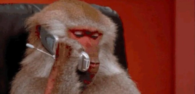 The image shows a monkey sitting inside an office chair with its head resting on a cell phone, holding it up to its ear as if having a conversation. The background of the image features a red wall, which contrasts with the brown fur of the monkey. There is no text present in the image, and the focus is solely on the monkey interacting with the cell phone.
