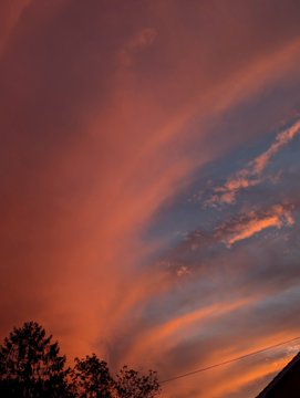 A sunset sky with pink, orange, and purple hues, featuring wispy clouds and silhouetted treetops along the bottom edge.