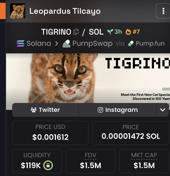 Screenshot of a Solana memecoin tracker showing the $TIGRINO token on PumpSwap, featuring a close-up image of a leopard cat with the caption "Meet the First New Cat Species Discovered in 100 Years," priced at $0.001612 USD with $119K liquidity, $1.5M FDV, and $1.5M market cap.