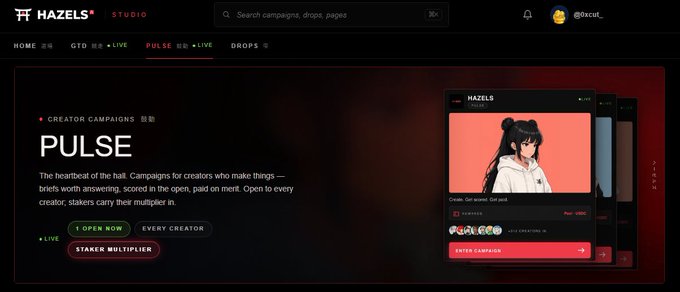 A screenshot of the 'HAZELS STUDIO' website displays a 'PULSE' section titled 'CREATOR CAMPAIGNS' with text describing it as 'The heartbeat of the hall.'