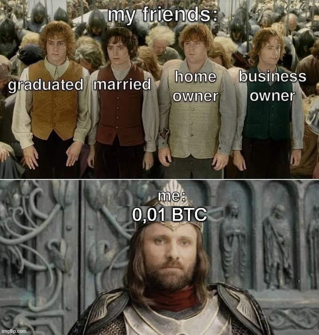 A Lord of the Rings meme showing the four hobbits labeled as 'my friends: graduated, married, home owner, business owner' while Aragorn below is labeled 'me: 0,01 BTC'.
